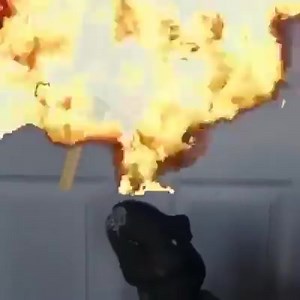 Classical Music pt. 1. | Crack Videos