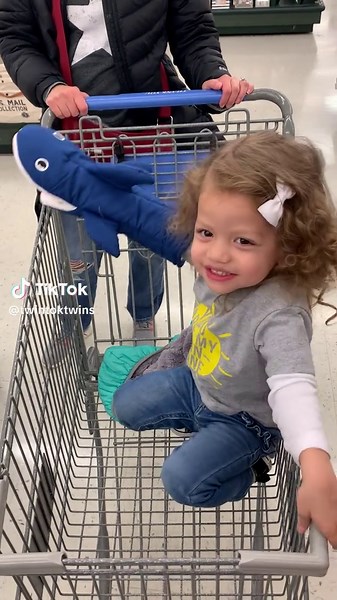 Family Fun with Daddy Shark and Twins