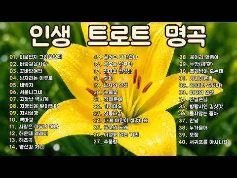 흘러간 옛노래 뽕짝 메들리 가사 포함 💖하루 종일 듣기 좋은 노래 모음🎶🌻 추억의 트로트 명곡 모음🌻 차 안에서 듣는 트로트 | 드라이브 음악