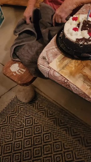 Colleen Shannon203 on TikTok