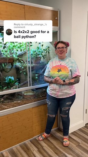 Ideal Enclosures for Ball Pythons