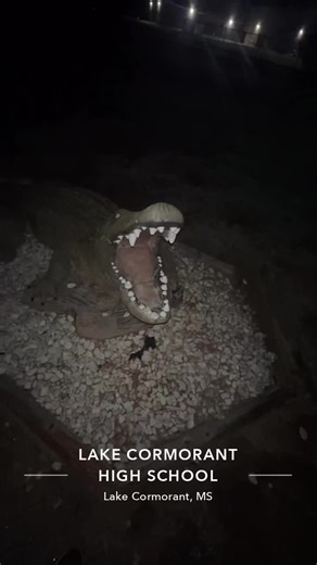Lake Cormorant Community: 8th Victim Update