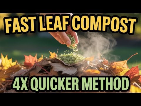 Compost Leaves 4X Faster with This Leaf Mold Accelerator Method