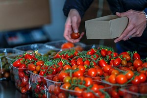 Japan's ketchup maker stops tomato paste imports from China's Xinjiang region