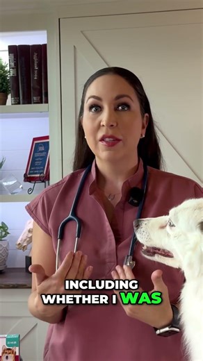 Kitten Died Vet's Warning About Pet Product Labels!