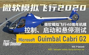 【PGatcomb直升机教程】MSFS 直升机 基础知识及其独特操控技巧 Helicopter controls, startup and hover test