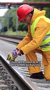 133K views · 1.9K reactions | #reels #histoire #neuroscience #notabene #historyfacts | Nota Bene | Facebook