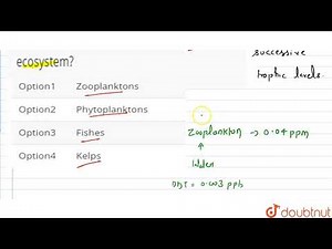 The maximum biomagnification would be in which of the following in case of aquatic ecosystem?