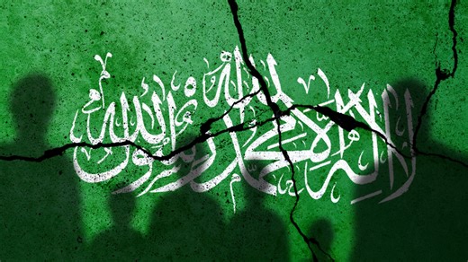 2.7K views · 80 reactions | Reports claim the police “cannot stop” protesters from “flying Hamas flags”, says Sky News host James Macpherson. Watch the full episode at www.skynews.com.au/flash | Sky News Australia | Facebook