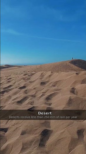 Desert Ambience | Calming Nature Sounds for Anxiety #Shorts