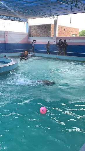 Royal Resort Swimming Pool in Rahim Yar Khan
