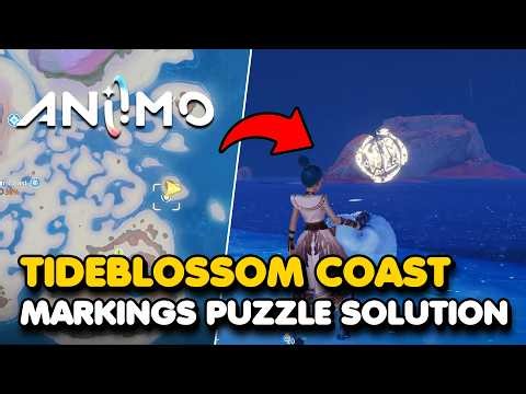 Aniimo - Tideblossom Coast Lumin Marking Puzzle Solution