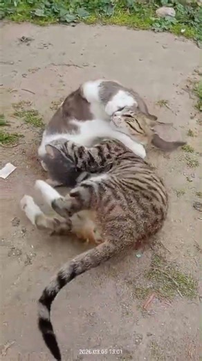 videoyu beğenmeği ve abone olmayı unutmayın