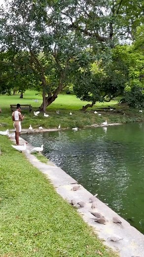 Discover the hidden gem of Codrington College in Barbados! With its stunning architecture and rich history, this iconic institution is a must-visit for all history buffs and architecture enthusiasts. Save this post and add it to your list of places to see in Barbados! 📍Codrington College, St. John #VisitBarbados #LoveBarbados #MyBarbados | Visit Barbados