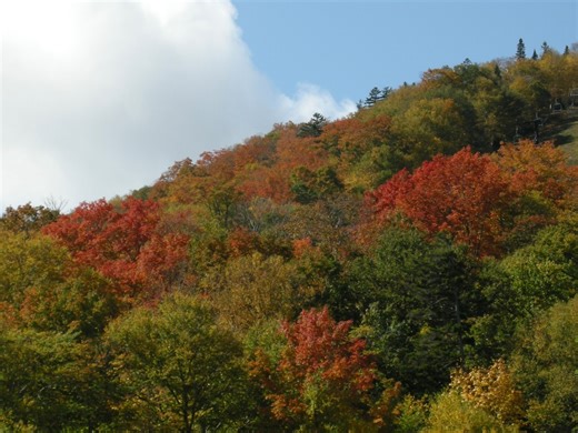 Mass. weather: Chilly temperatures Saturday night and Sunday