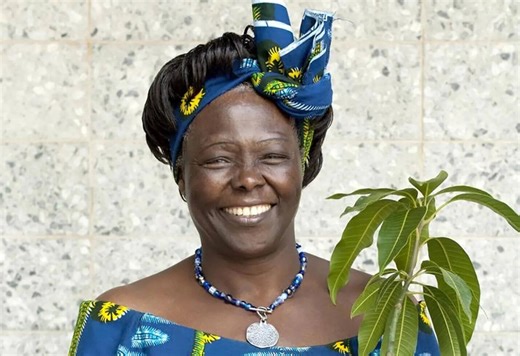Quote of the day by Wangari Maathai: "When we plant trees, we plant the seeds of peace and seeds of hope."