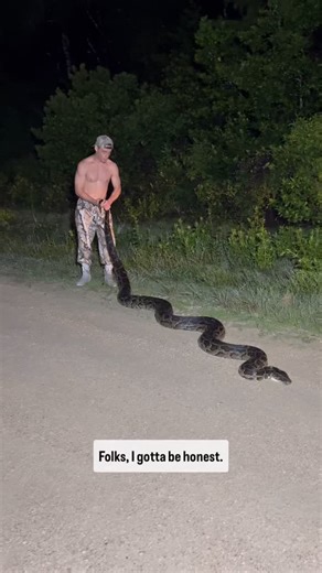Ben Friedman on Instagram: "DONT LIE TO ME THATS A BIG SNAKE. 16 FOOT 104 LB PYTHON IN THE FLORIDA EVERGLADES"
