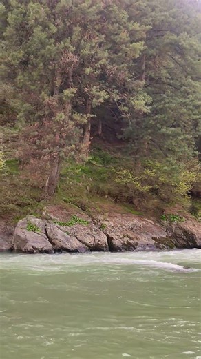 SCRETS OF PAHALGAM-LIDDER #nature #pahalgam #mountains #explore #lidderriver #water #kashmir #travel