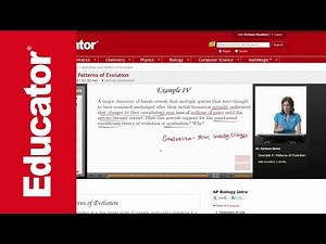 Punctuated Equilibrium vs Gradualism