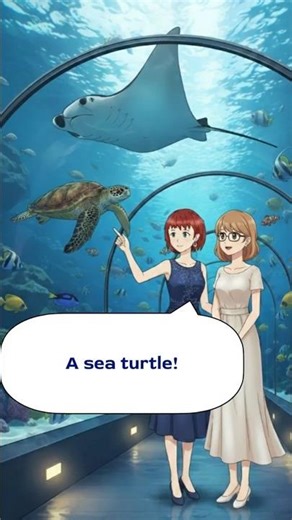 BASIC ENGLISH CONVERSATION – 🐟 This Aquarium Tunnel Is Amazing ! 🦈