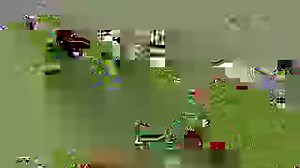 42K views · 264 reactions | When you come to work and someone points out that you look a bit like the London Underground seats... | Good Morning Britain | Facebook