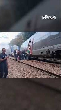 Un TER déraille à 140 km/h en Normandie, 44 blessés