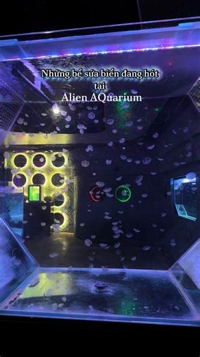 Gỏi Sứa: Món Ngon Đặc Sản Thủy Sản