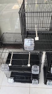 Perfect setup for small finch breeding using the Octagon A313 cage series. This compact wire cage is stable, easy to clean, and designed for stress free breeding. A practical choice for anyone starting a small finch colony at home. #FinchCage #BirdBreedingSetup #octagona313 #AviaryLife #HighCPMVideo #fblifestyle | Indra Prihantoro