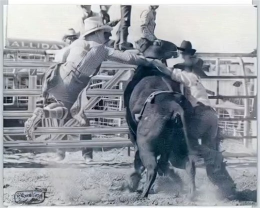 78K views · 731 reactions | #rodeo #cowboy | Rodeo Cowboy Hall of Fame | Facebook
