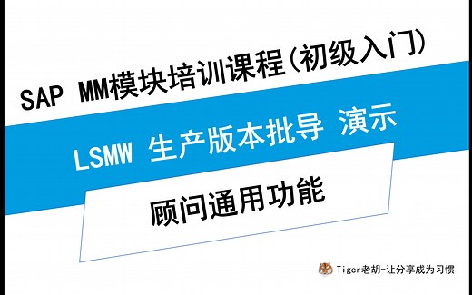 LSMW 生产版本批导 演示 SAP