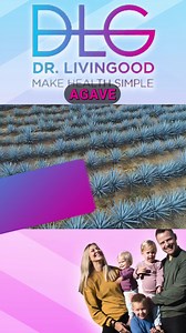 Is agave really THIS bad? The main problem with agave is that it’s mostly made up of fructose, which can spike our insulin and increase fat gain. Do your body a favor and stay away from foods that contain agave to give your body a chance to recover. #recovery #fructose #insulin #fatgain #insulinspike | Dr. Livingood