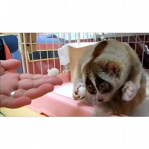 91 reactions · 47 shares | :) | Reviser Mon Code | Facebook