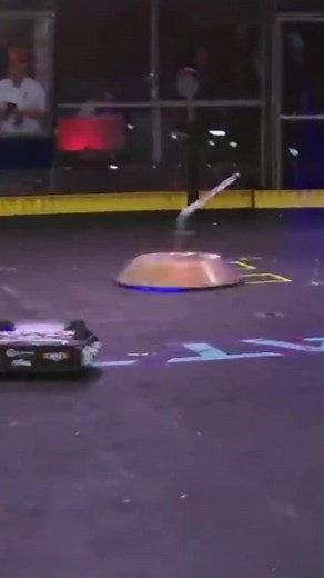 Steve tv show on TikTok