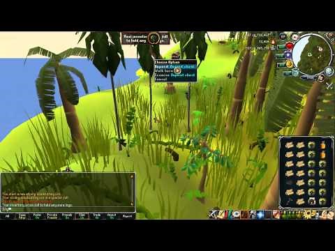 RS Woodcutting guide - Ape Atoll Teaks - 100k+ xp/h (June 2012)