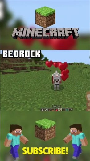 Part..68...Java vs Bedrock–🏆The BIG Differences Explained! #minecraft