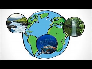 WonderGrove Kids | Water Conservation: Why We Need to Drink Water