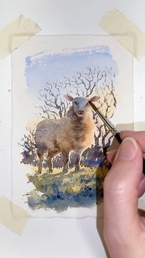 Watercolor animal painting - sheep - process demo