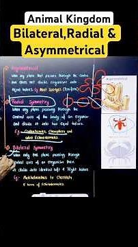 Radial and bilateral symmetry #radialsymmetry #animalkingdom #kingdomanimalia #ytshorts #neet
