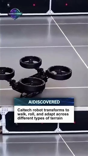 Caltech robot transforms to walk, roll, and adapt across different types of terrain