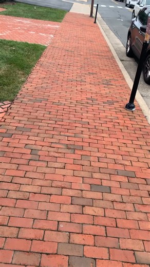 16K views · 114 reactions | Today’s reel takes you inside Thomas Balch Library. Beyond genealogy and local history, you’ll even find unique “bark-chives” on Leesburg dogs…just in time for #nationaldogday. | Town of Leesburg, Virginia | Facebook