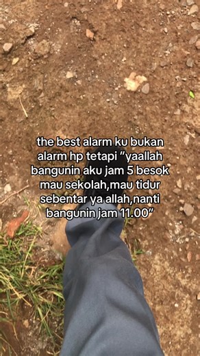 Effective Alarm Sounds for School Mornings