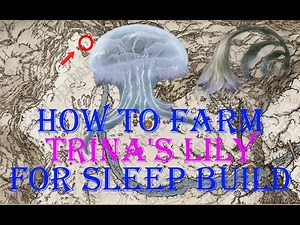 Best way to farm Trina's Lily for all your sleep build needs