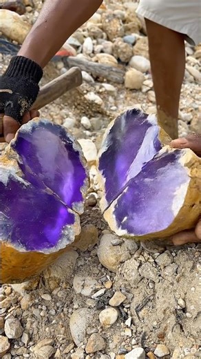 Nature’s Secret: Incredible Purple Crystal Hidden in a Rock”