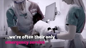 359 reactions · 34 shares | 2020 has been hard for everyone. For pets whose owners can't afford urgent treatment, we're their only lifeline. On average, every day, we provide 2,000 remote consultations to desperate owners in need to discuss veterinary care for their pets. It's a Pet Care Crisis, and we need your help to fight it. | PDSA | Facebook