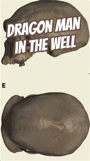 The big skull in the well | Homo longi Dragon Man #denisovans #archaeology #humanorigins