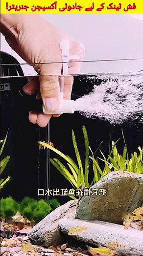 Fish Tank Oxygen Generator | Cheap & Easy DIY Air Pump | Aquarium Oxygen Booster #shorts