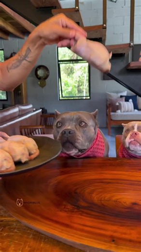 Captivating Storytime Live Highlights