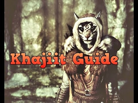 Skyrim Character Creation Guide: Khajiit