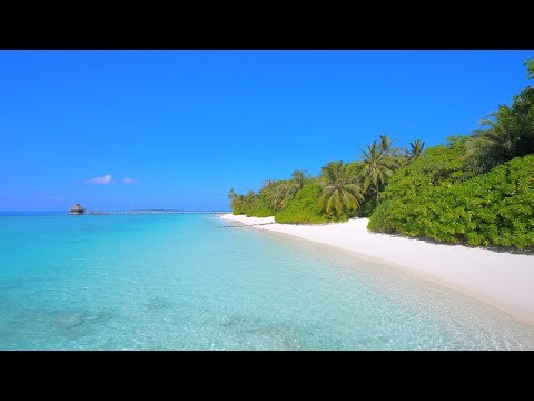 🏝 Beach Screensaver From a Tropical Remote Island Paradise