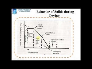 Behavior of Solids during Drying/ Drying Rate Curve